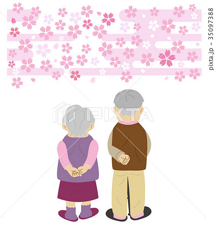高齢者男女 後ろ姿 桜 春のイラスト素材