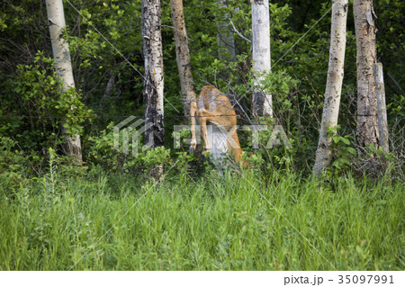 Deer Jumping over fence Deer Jumping over fence 35097991