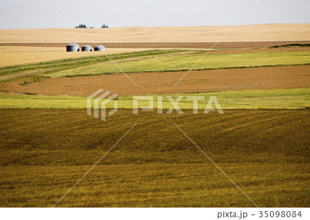 Prairie Scene Saskatchewan Prairie Scene Saskatchewan 35098084