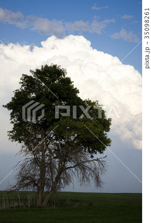 Storm Clouds Canada 35098261