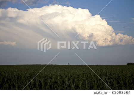Storm Clouds Canada 35098264