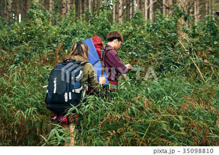 Hiking in dense thicket Hiking in dense thicket 35098810
