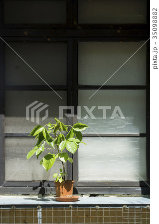 土台 窓辺 窓側 35098882