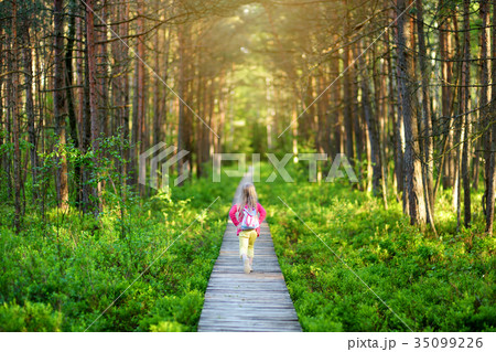Cute little girl following wooden path through dense forest on beautiful summer evening. Cute little girl following wooden path through dense forest on beautiful summer evening. 35099226