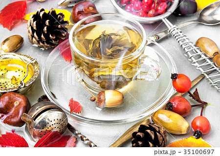cup of warming autumn tea 35100697