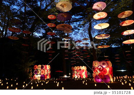 日光市 鬼怒川温泉 月あかり花回廊 日光市 鬼怒川温泉 月あかり花回廊 35101728