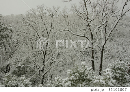 雪景色 雪景色 35101807