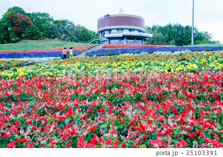 フラワーガーデン「はな・てんと」 35103391