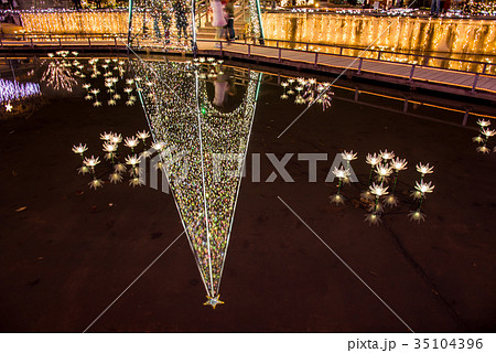 あしかがフラワーパークのイルミネーション 水面に映った星のタワー あしかがフラワーパークのイルミネーション 水面に映った星のタワー 35104396