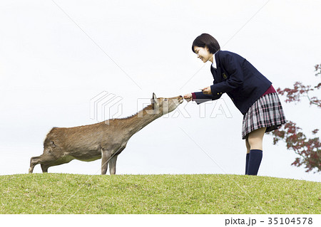 女子高生 35104578