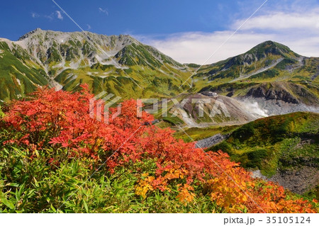 Autumn scenery in Tateyama alpen, Japan Autumn scenery in Tateyama alpen, Japan 35105124