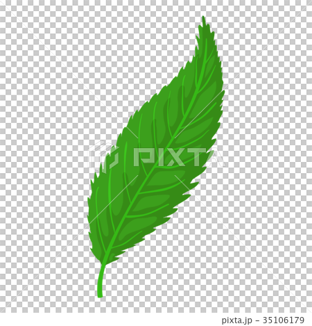 Leaf icon, cartoon style Leaf icon, cartoon style 35106179