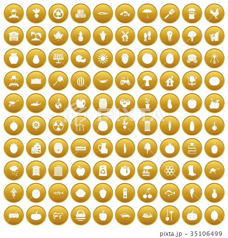 100 vitamins icons set gold 35106499