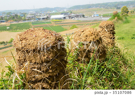 猪俣百八燈(埼玉県児玉郡美里町猪俣) 猪俣百八燈(埼玉県児玉郡美里町猪俣) 35107086
