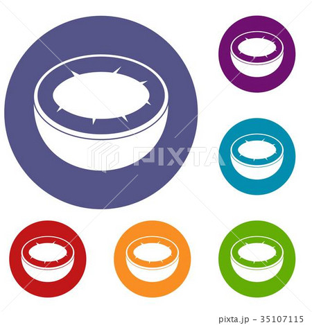 Half of coconut icons set 35107115
