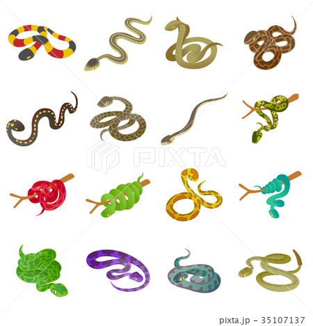Snake icons set, isometric style 35107137