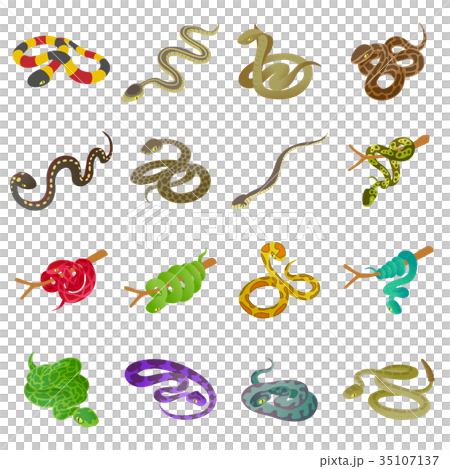 Snake icons set, isometric style 35107137