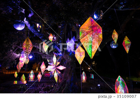 江ノ島 湘南の宝石イルミネーション 35109007