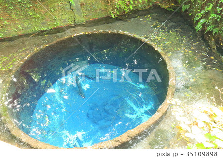 柿田川 柿田川 35109898