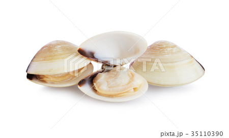 Fresh opened and closed clams 35110390