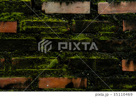 Wall brick with green fungus. Wall brick with green fungus. 35110469