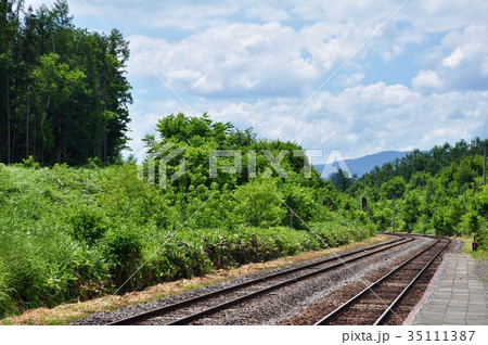 Railroad tracks through nature 35111387