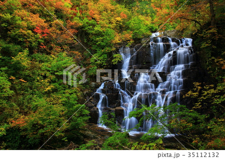紅葉の立又渓谷 二の滝 紅葉の立又渓谷 二の滝 35112132