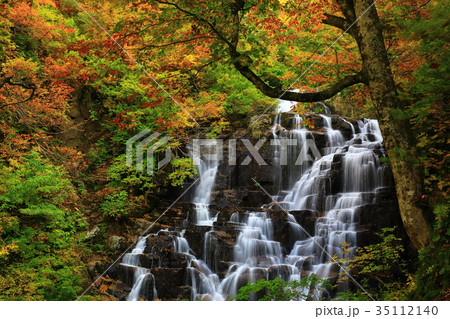紅葉の立又渓谷　二の滝 35112140