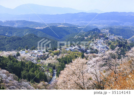 奈良県・吉野山の桜 35114143