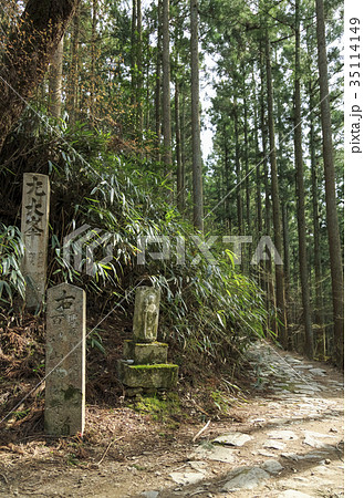 奈良県・吉野山・奥千本 35114149