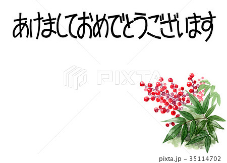 南天の賀詞入り年賀ハガキ素材 南天の賀詞入り年賀ハガキ素材 35114702