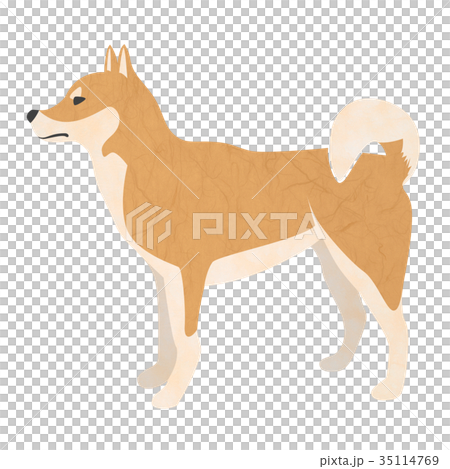 柴犬　年賀状素材　戌年　戌 35114769