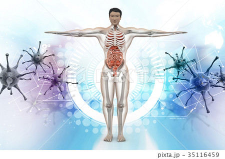 human anatomy with virus 35116459