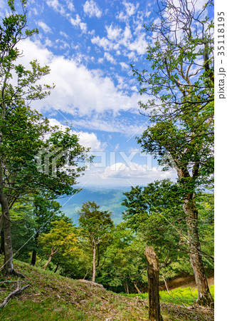 近畿のマッターホルン！高見山、登山道の風景（奈良県吉野郡東吉野村）※作品コメント欄に撮影位置情報有り 35118195
