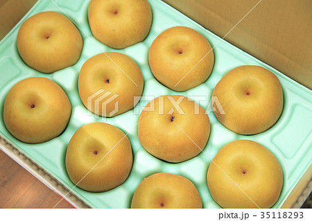 梨　幸水 35118293