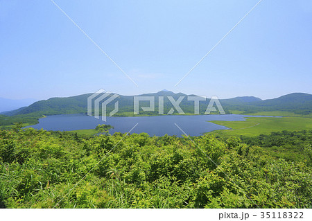 雄国沼 雄国沼 35118322