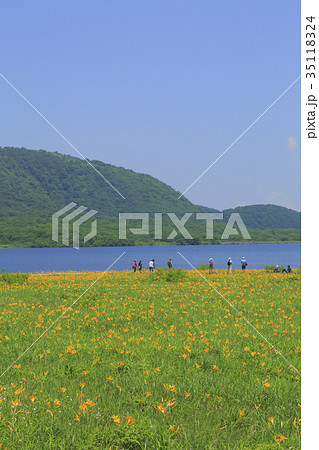 雄国沼 雄国沼 35118324