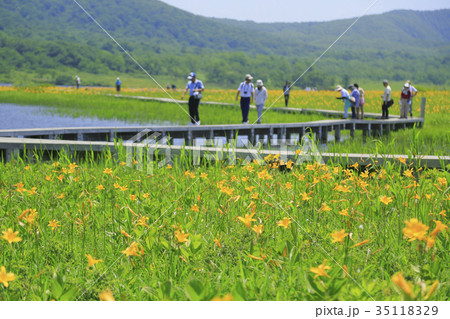 雄国沼 雄国沼 35118329