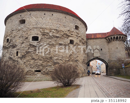 タリン　ふとっちょマルガレータ 35118992