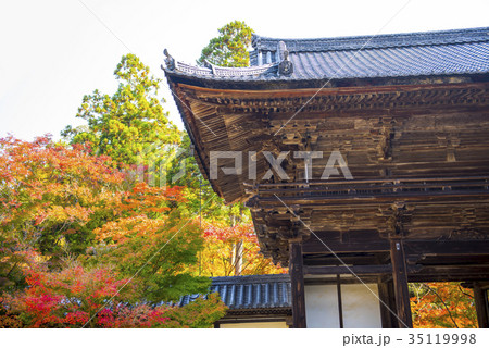 秋の神護寺 秋の神護寺 35119998