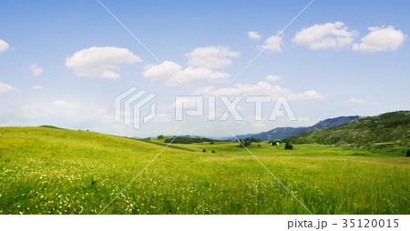 summer valley summer valley 35120015