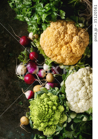 Variety of cauliflower and radish 35120561