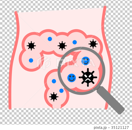 腸道環境 35121127