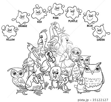 main colors coloring book with birds 35122127