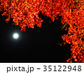 月の光に映えるライトアップされた京都の紅葉 35122948