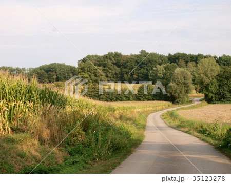Medieval Palace/Dijon,France 35123278