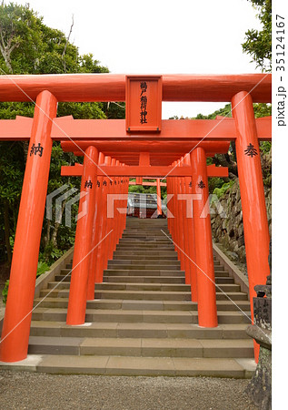 鵜戸神宮 35124167