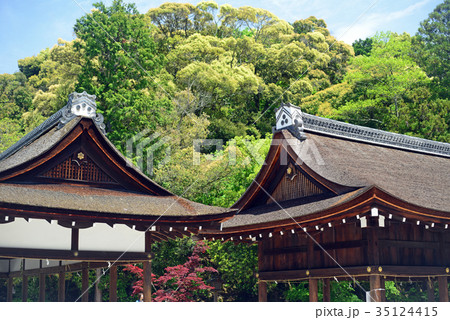 上賀茂神社橋殿と土屋 35124415