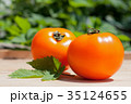 Yellow Tomatoes 35124655