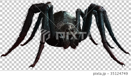 Giant spider 35124749